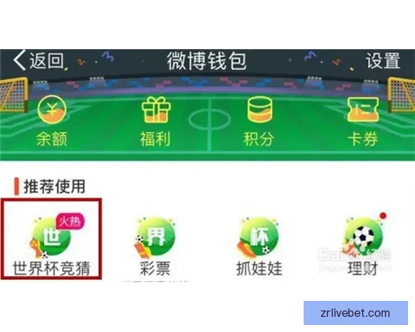 世界杯竞猜网站大全推荐与玩法指南全面解析助你轻松赢取大奖技巧